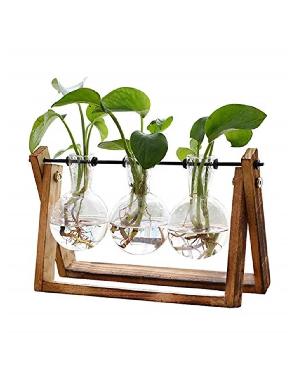 Plant Terrarium with Wooden Stand, Air Planter Bulb Glass Vase Metal